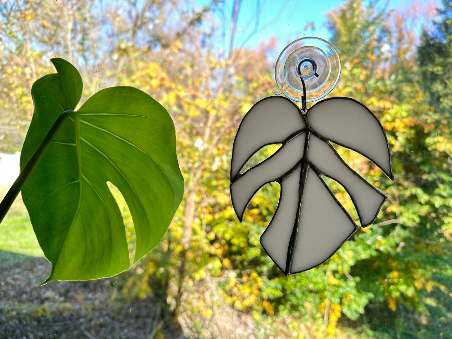 Monstera leaf Stained Glass, Suncatcher